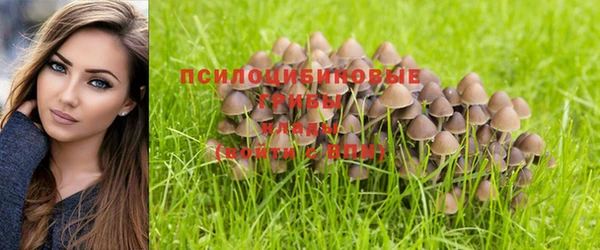 герыч Алзамай