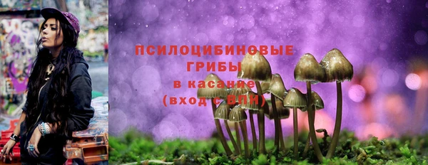 герыч Алзамай