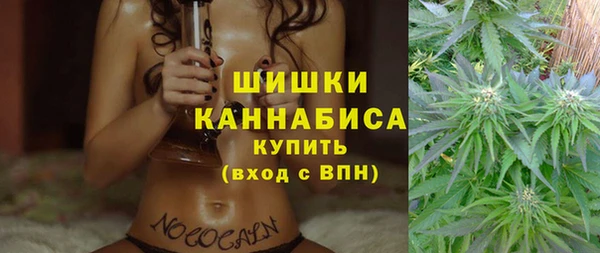 прущие грибы Новокубанск